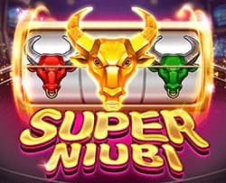 SuperNiubi