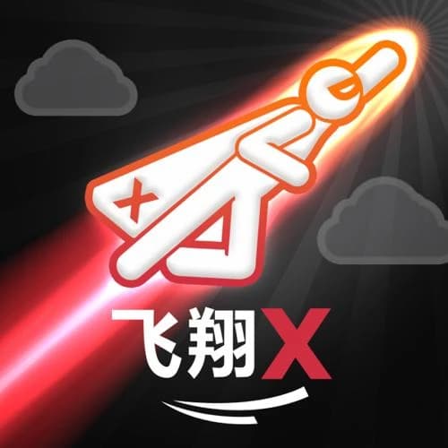FlyX
